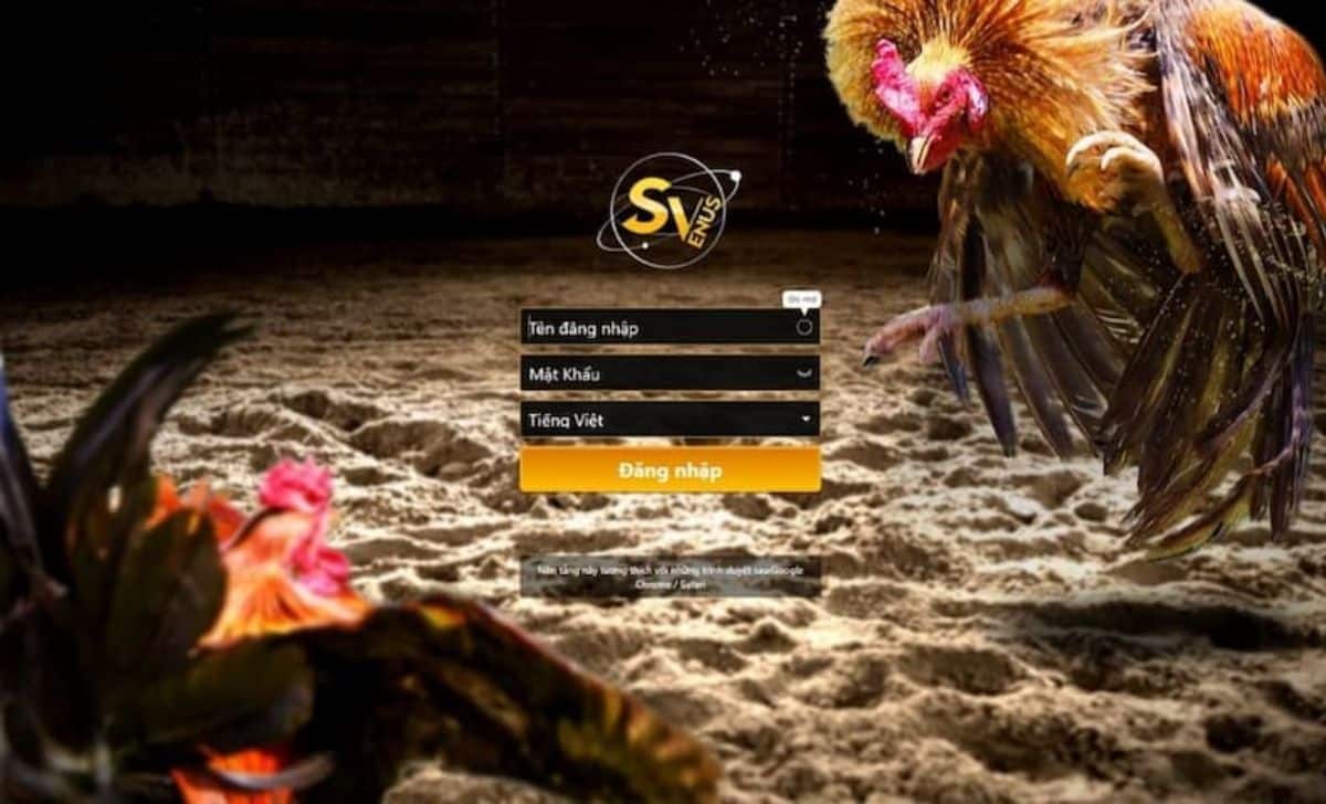 Cách chiến thắng khi chơi chọi gà đòn Thái Lan online